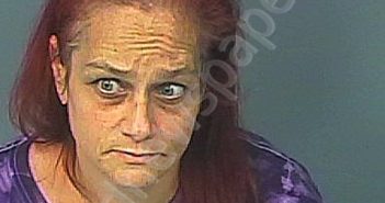 HEDDEN, CATHY ANNE | 2022-01-19 17:38:00 Hernando County, Florida Booking