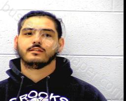 MICHAEL HERNANDEZ #, Bedford County, Tennessee - 2022-01-20 20:05:00
