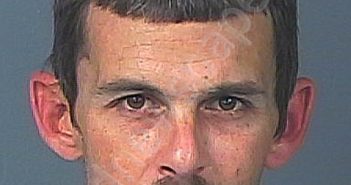 SIKES, ALAN WAYNE | 2022-01-20 06:25:00 Hernando County, Florida Booking