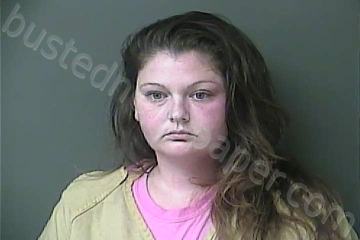 NELSON, DANIELLE MARIE #, Howard County, Indiana - 2022-01-20 22:14:00