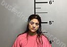<B>CASTANEDA</B>, <B>KAREN</B> #, Benton County, Arkansas - 2022-01-23