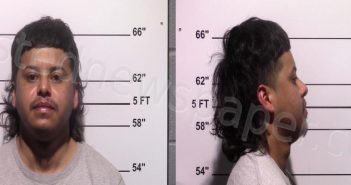 GURROLA, FAVIAN | 2022-01-24 Gillespie County, Texas Booking
