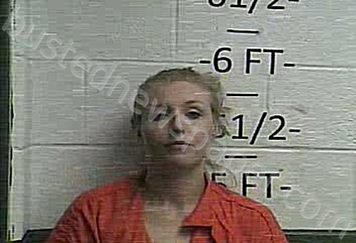 JOHNSTON, RACHEL LYNN #, Whitley County, Kentucky - 2022-01-25 01:02:00