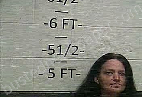 HAMBLIN, SHANNON LYNN #, Whitley County, Kentucky - 2022-01-25 21:51:00