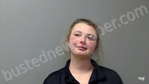 ALLISON FAITH BURRIS #, Baxter County, Arkansas - 2022-01-26 22:34:00