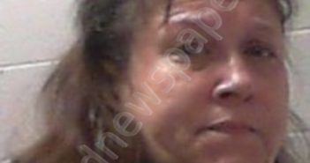 GAITHER, JUANITA | 2022-01-28 17:40:00 Wayne County, West Virginia Booking