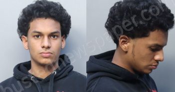 <B>ALVAREZ</B>, <B>JUSTIN</B> ROBERTO #, Miami-Dade County, Florida - 2022-01-29 20:36:00