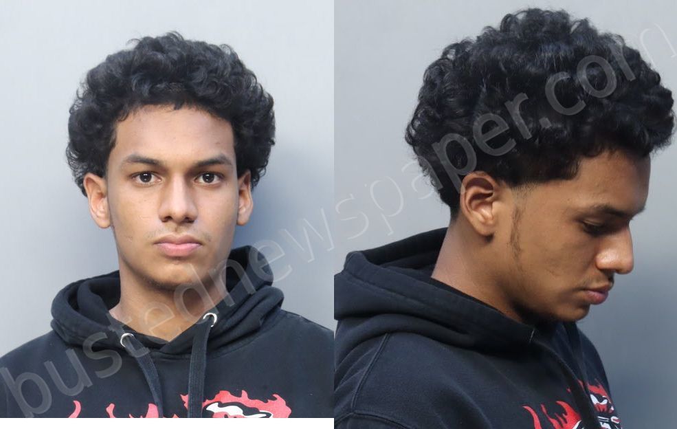 ALVAREZ, JUSTIN ROBERTO #, Miami-Dade County, Florida - 2022-01-29 20:36:00