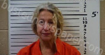 DAVIS, HELEN NORA | 2022-01-30 11:35:00 Cherokee County, North Carolina Booking
