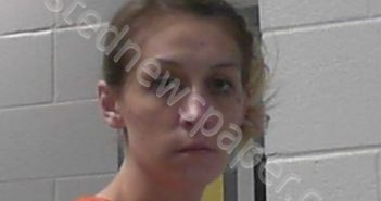 SMITH, JESSICA ANN | 2022-02-01 03:35:00 Wayne County, West Virginia Booking