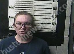 ZANNA HEMBREE | 2022-02-01 18:08:00 Cocke County, Tennessee Booking