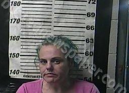 STEPHANIE BUGG | 2022-02-01 14:29:00 Cocke County, Tennessee Booking