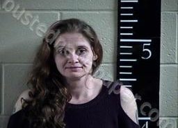 <B>SAMANTHA</B> <B>WHEELER</B> #, Chester County, Tennessee - 2022-02-01 22:25:00