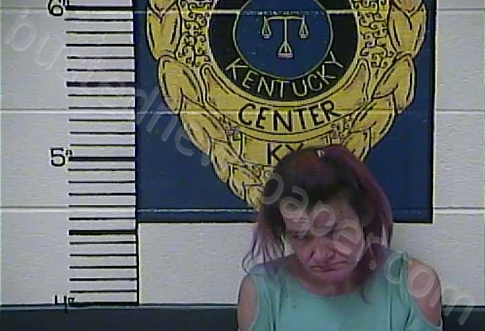SMITH, PAMELA #, Clay County, Kentucky - 2022-02-01 01:09:00