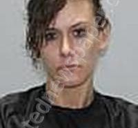 <B>JOHNSON</B>, <B>SHELBY</B> <B>LYNNE</B> #, Pickens County, South Carolina - 2022-02-04