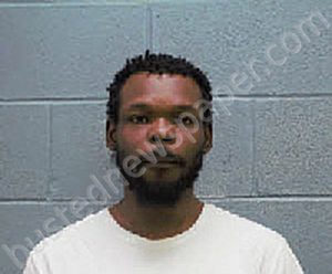 LOGAN, MICHAEL JEROME | 2022-02-04 Lee County, Alabama Booking