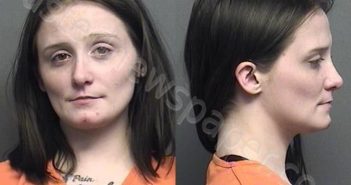 WILSON,MONIQUIE LYNN | 2022-02-05 17:30:00 Saline County, Kansas Booking