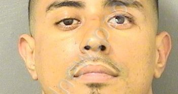 <B>FLORES</B>, <B>ARLES</B> <B>XAVIER</B> #, Palm Beach County, Florida - 2022-02-06 04:11:00