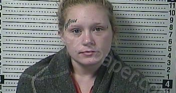 <B>HOPKINS</B>, <B>KELSEY</B> <B>BROOKE</B> #, Boyle County, Kentucky - 2022-02-08 23:14:00