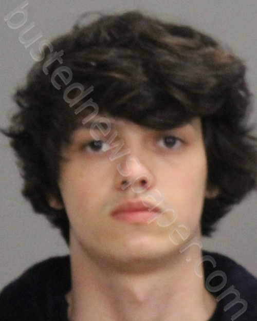 BETTENCOURT, KOBY STEPHEN #, Brazos County, Texas - 2022-02-10