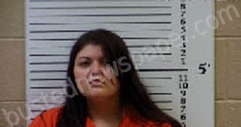 MUSE, EMILY SHAE | 2022-02-11 12:38:00 Cherokee County, North Carolina Booking