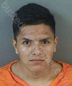 LUIS-SANCHEZ,HECTOR | 2022-02-12 Collier County, Florida Booking