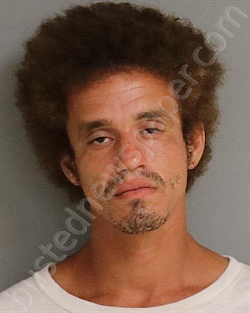 EDWIN ANGEL SANTIAGO #, Osceola County, Florida - 2022-02-13