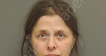 WILDES, CHRISTINA KAY | 2022-02-13 Calhoun County, Alabama Booking