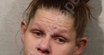 ELIZABETH LEANNA HARDCASTLE | 2022-02-14 16:22:00 Jackson County, Indiana Booking