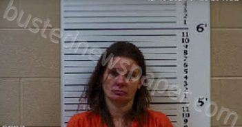 OROARK, JESSIE RENEE | 2022-02-14 20:18:00 Cherokee County, North Carolina Booking