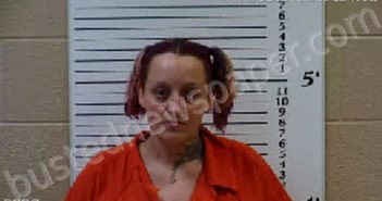 JOHNSON, AMBER NICOLE | 2022-02-15 11:50:00 Cherokee County, North Carolina Booking