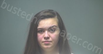SNYDER, BRITTANY LYNN | 2022-02-15 21:38:00 Isabella County, Michigan Booking