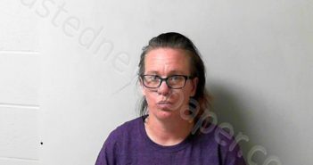 BRANDYBERRY, SARAH ELIZABETH | 2022-02-15 12:00:00 Logan County, Ohio Booking