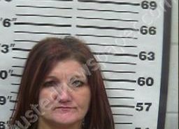 <B>STEPHANIE</B> <B>BOLIN</B> #, Gibson County, Tennessee - 2022-02-16 22:46:00