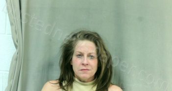 WIERWILLE, TAMMY DAWN | 2022-02-16 17:05:00 Boone County, West Virginia Booking