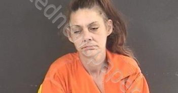 MILES, DENISE MARIE | 2022-02-17 17:42:00 Roanoke County, Virginia Booking