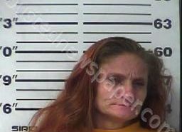 EVELYN CURTIS | 2022-02-17 01:41:00 Gibson County, Tennessee Booking