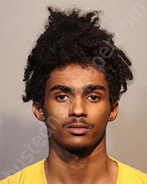 ZIKIU LEWIS #, Seminole County, Florida - 2022-02-19
