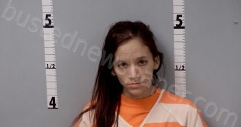 <B>VILLANUEVA</B>, <B>SARAH</B> <B>LOUISE</B> #, Gratiot County, Michigan - 2022-02-20 22:47:00