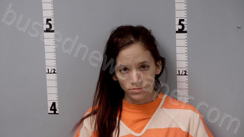 VILLANUEVA, SARAH LOUISE #, Gratiot County, Michigan - 2022-02-20 22:47:00