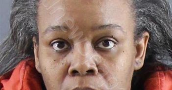 WHITE, LATOYA | 2022-02-22 Peoria County, Illinois Booking