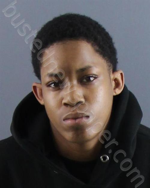 BAILEY, MONICA R #, Peoria County, Illinois - 2022-02-22