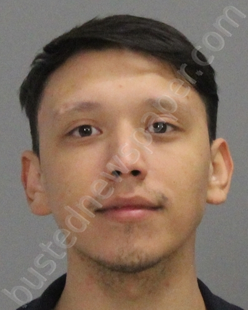 FLORES, DAMIAN MATTHEW #, Brazos County, Texas - 2022-02-24