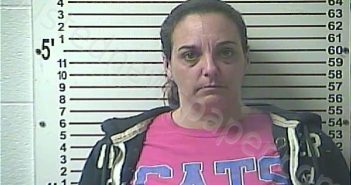 PIERCE, HEATHER VELMAADELE | 2022-02-24 10:09:00 Hardin County, Kentucky Booking
