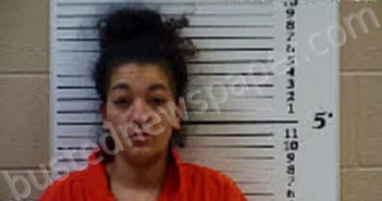 GREENLEE, SHALEES MARIE | 2022-02-25 12:17:00 Cherokee County, North Carolina Booking