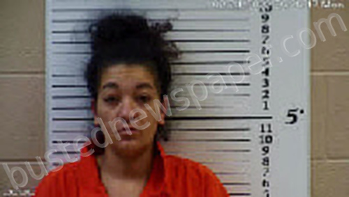 GREENLEE, SHALEES MARIE #, Cherokee County, North Carolina - 2022-02-25 12:17:00