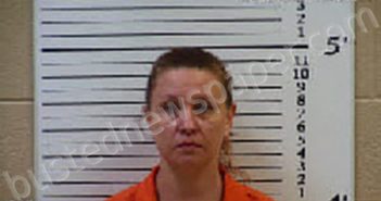 JOHNSON, TARA ASHLEY | 2022-02-25 18:00:00 Cherokee County, North Carolina Booking