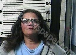RHONDA SILVA | 2022-02-26 23:06:00 Cocke County, Tennessee Booking