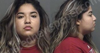 VILLANUEVA,LESLIE JOHANA | 2022-02-27 09:10:00 Saline County, Kansas Booking