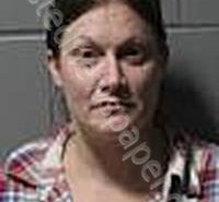 HOLMES, JENNY MARIE | 2022-02-28 Clinton County, Iowa Booking